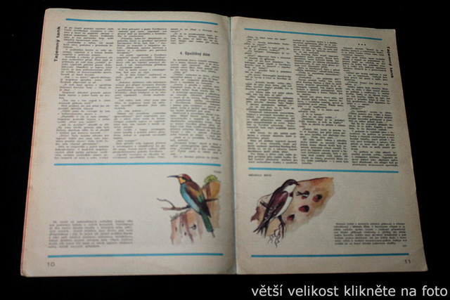 IMG-3576.jpg
