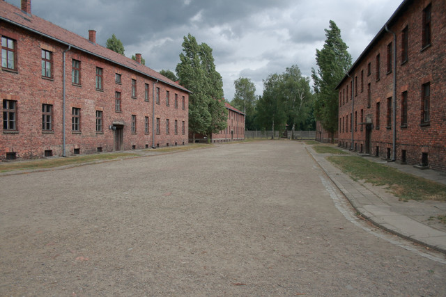 IMG-5843.jpg