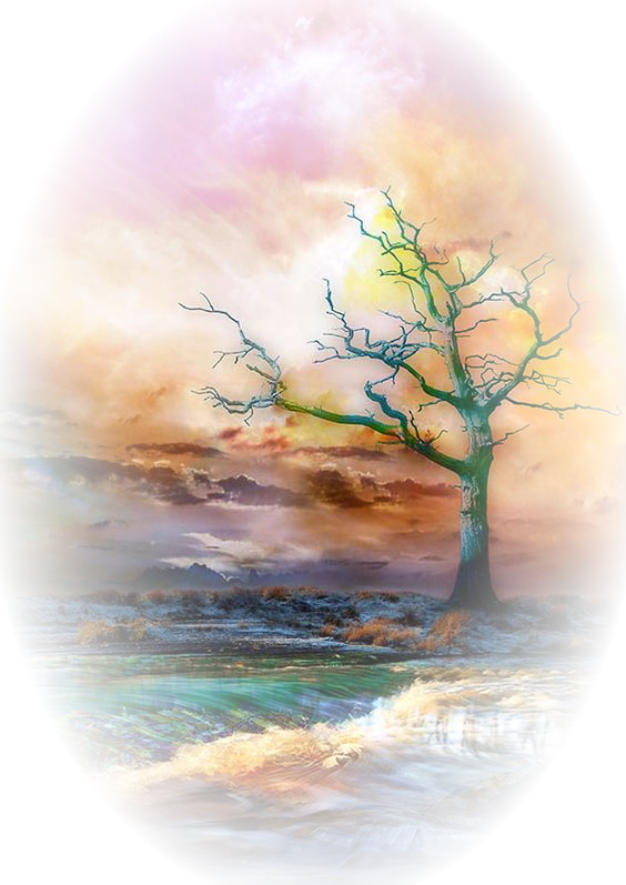 11ec57576b7d5494b6ce193d54876e77