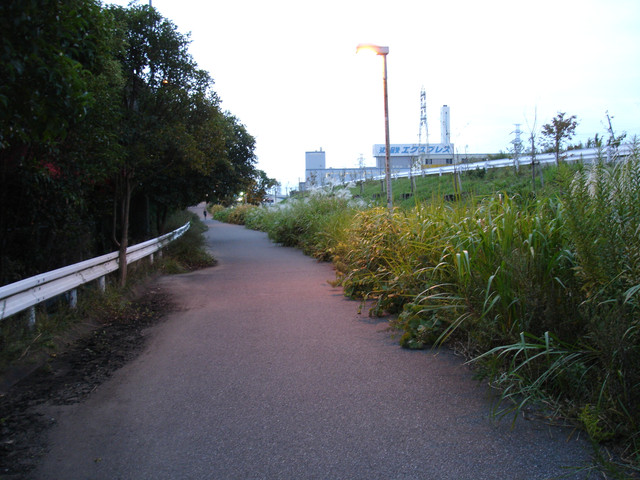 2009-10-10-34