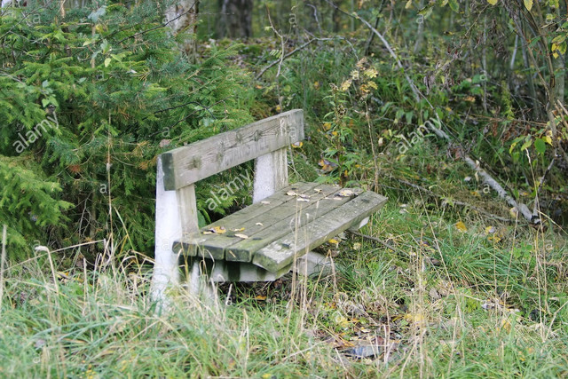 UPDATE-54-3-A-Picture-of-Cement-Seat