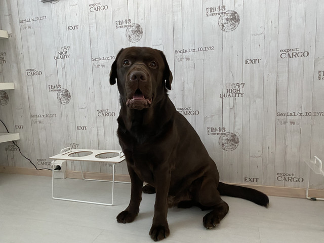 DEEEFD3-E-3909-4650-A420-5282-CF16-A3-D3