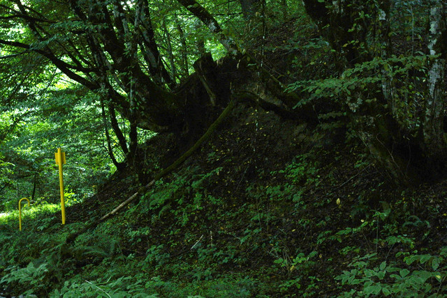 DSC7095.jpg
