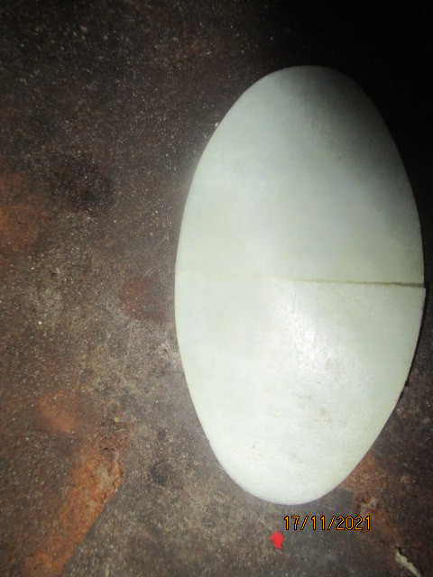 IMG-9462.jpg