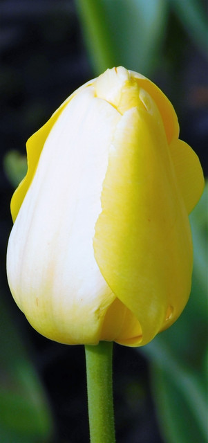 DSCN0228