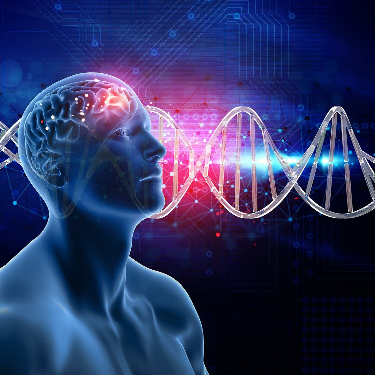 The Brain Song: Activate Your Brainwaves For A Sharper, Healthier Mind