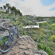 buckleys rock 10