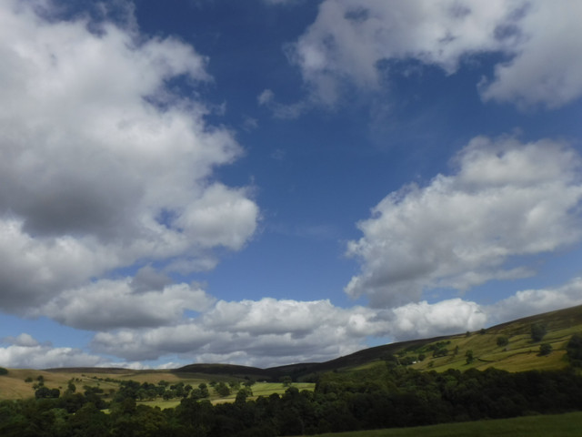 DSCF0194.jpg