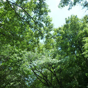 P1330883