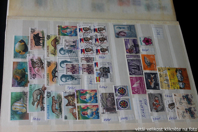 IMG-3745.jpg