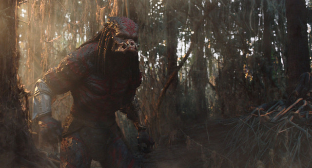 predator1