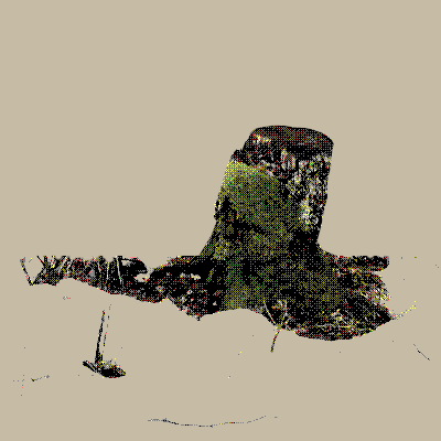 ulkona