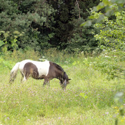 DSC5435-result