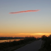 IMG-3630