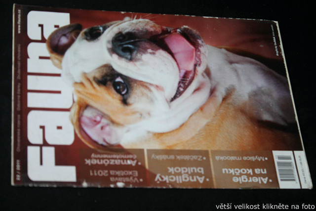 IMG-7726