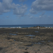 DSCF8284