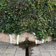 IMG-0706