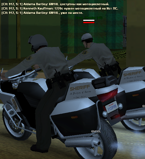 lssdm38.png