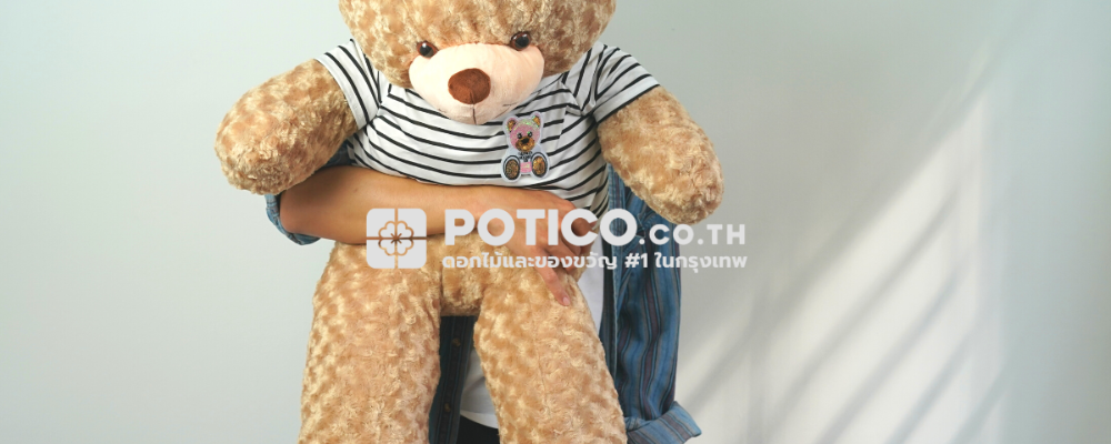 Teddy Bear Plushie Gift