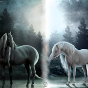 Webp-net-compress-image-29