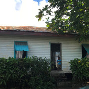 IMG-3530
