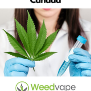 Main-Order-Weed-Canada-10