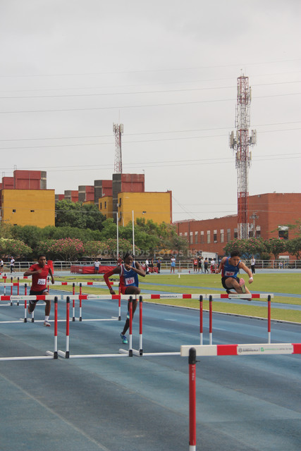 IMG-0021.jpg