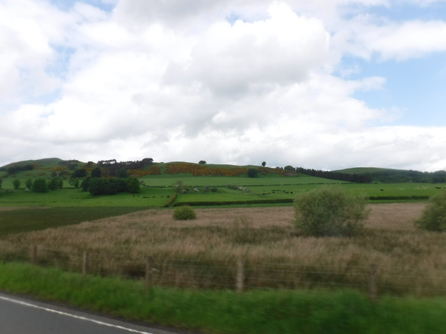 DSCF7931.jpg