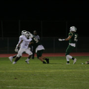 IMG-6874