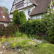 IMG-2577
