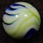 DSCN6591