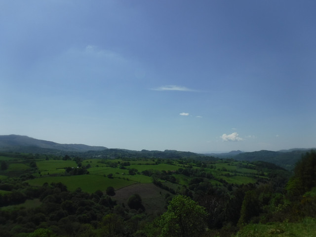 DSCF7909.jpg