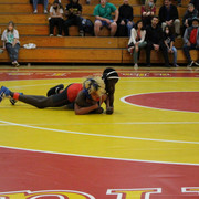 IMG-0503