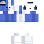 stepswitcher mc skin 2.png