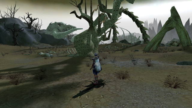 2020 Nightfall 10.jpg