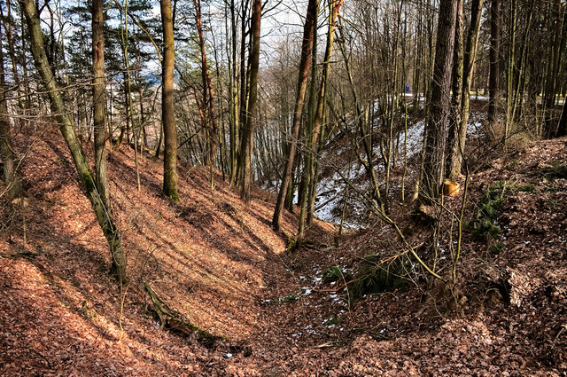 DSCF6267.jpg
