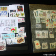 IMG-2424