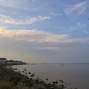IMGP8219