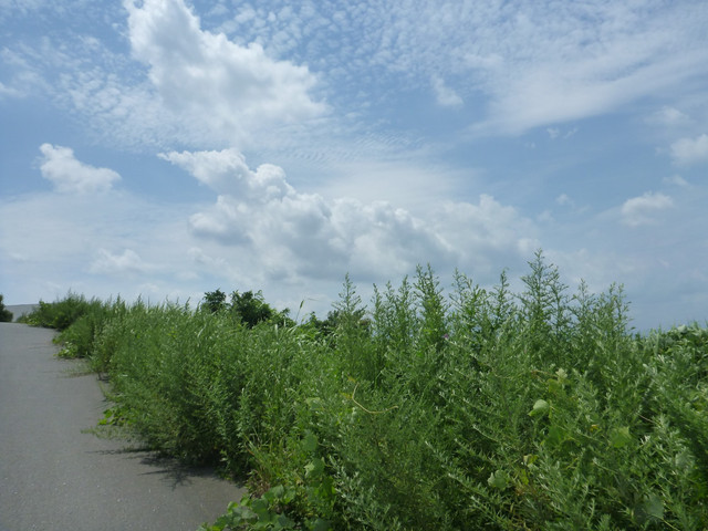 P1330200