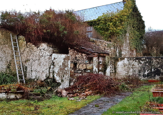 20210117-Progress-1.jpg