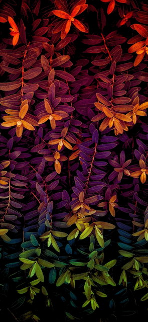 b0275c0.png