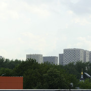 DSC5454