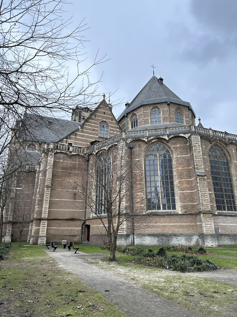 IMG-8835