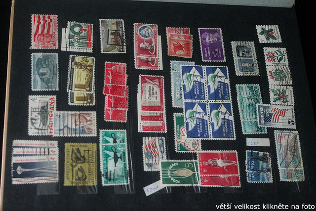 IMG-2543.jpg