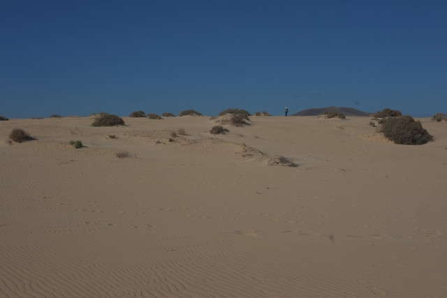 DSCF8573.jpg