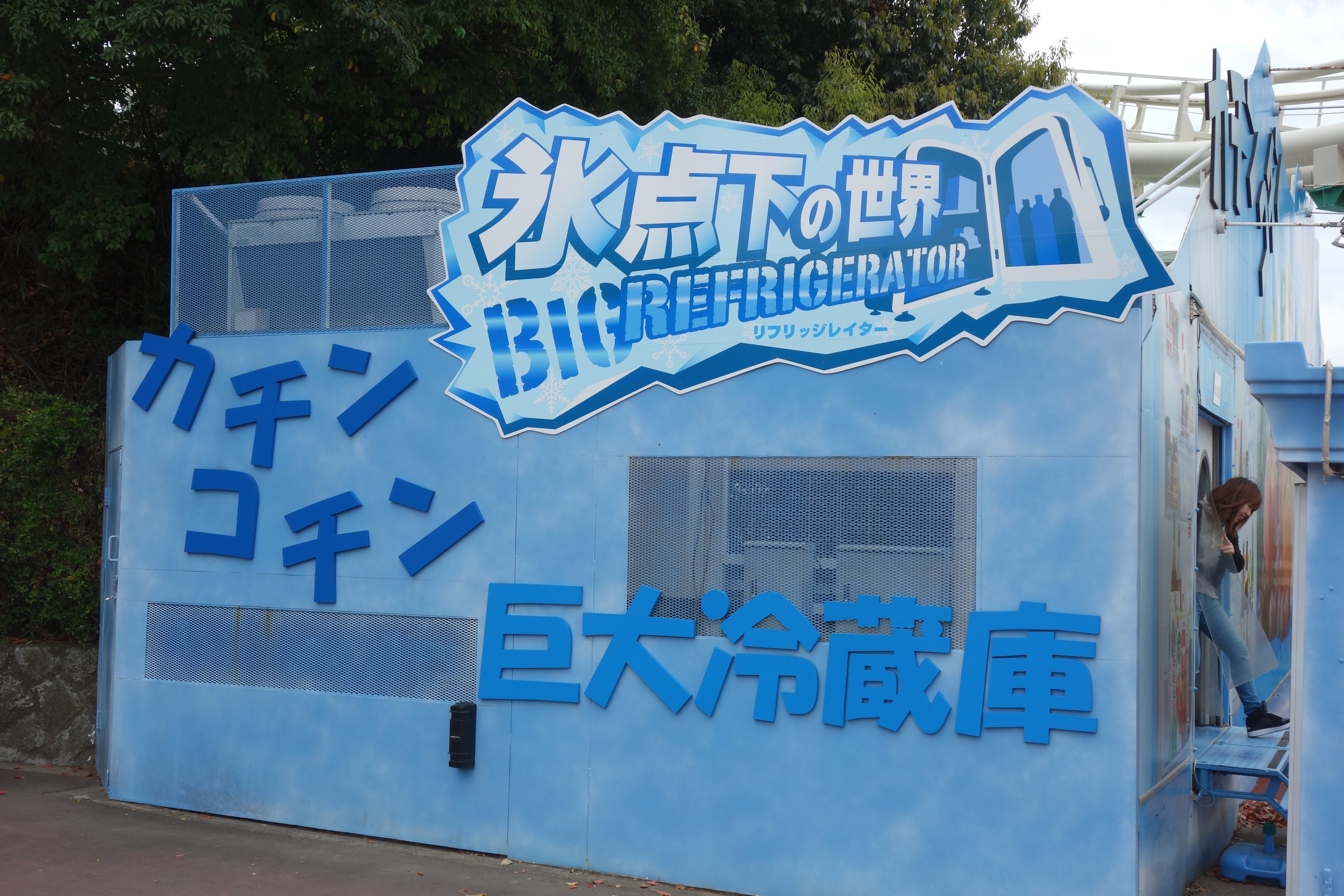 DSC10008