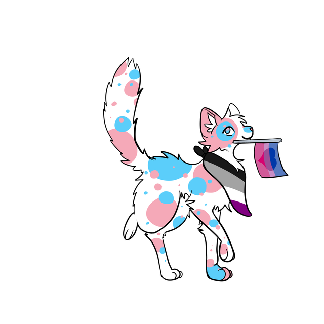 pride-cat