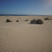 DSC01218