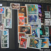 IMG-3113