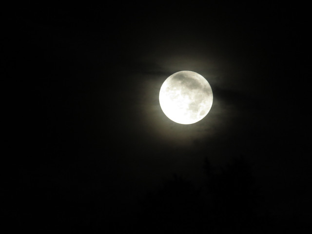 moon-031.jpg